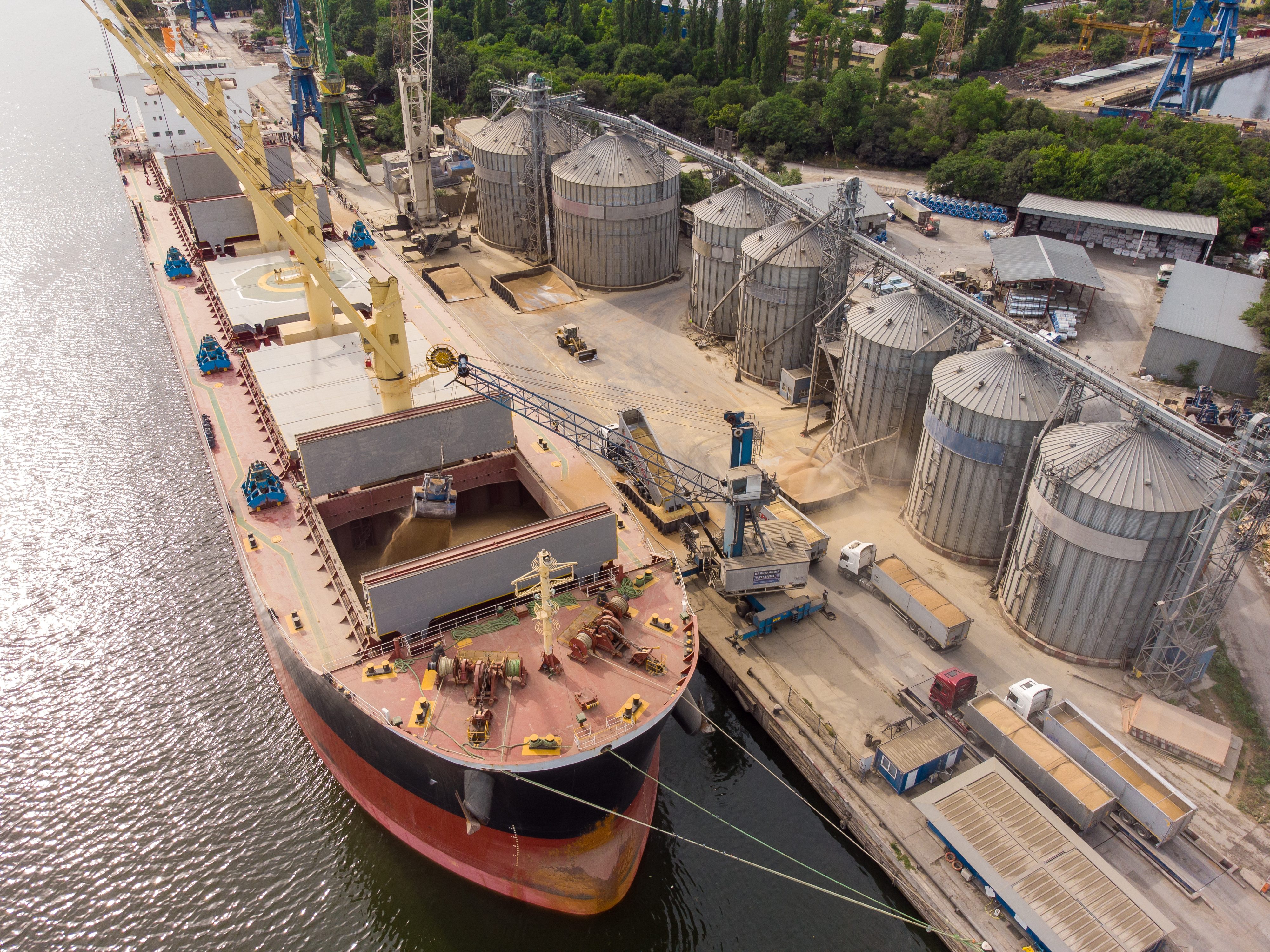 Loading grain into holds of sea cargo vessel in seaport from silos of grain storage. Bunkering of dry cargo ship with grain.