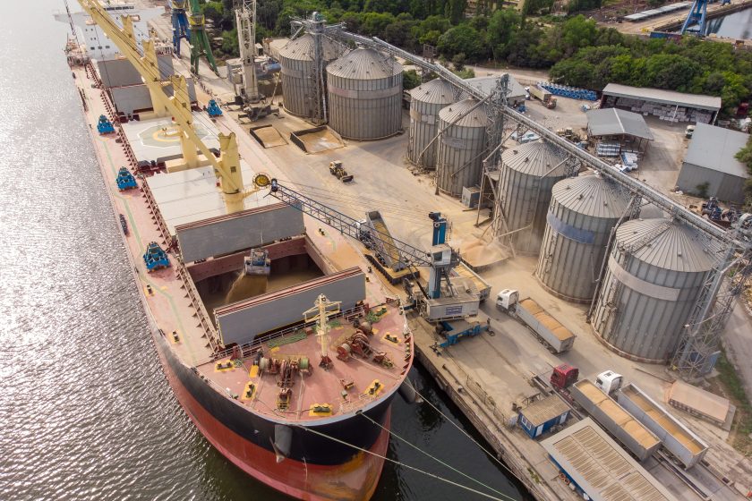 Loading grain into holds of sea cargo vessel in seaport from silos of grain storage. Bunkering of dry cargo ship with grain.